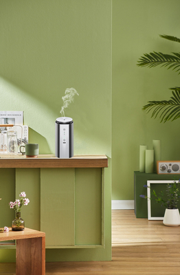 30ml/h Spray Volume frargance diffuser with 30min Spray Interval Superior Performance